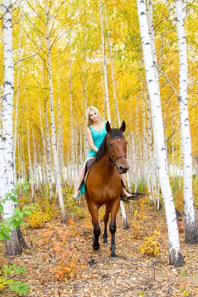Menina jovem no vestido da noite monta um cavalo — Fotografia de Stock
