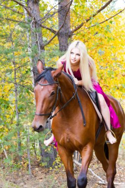 Bir binicilik sonbahar ormanda sarışın