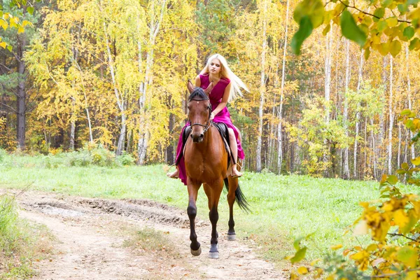 Блондинка верхи на коні в осінньому лісі — стокове фото