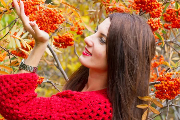 Girl in a red cardigan against the background of cluster of ripe rowan — Stock Photo, Image