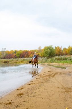 Binici havuz kenarı boyunca sırtında atlar.