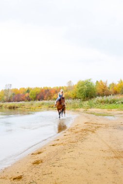 Binici havuz kenarı boyunca sırtında atlar.