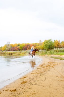 Binici havuz kenarı boyunca sırtında atlar.