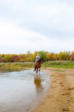 Binici havuz kenarı boyunca sırtında atlar.