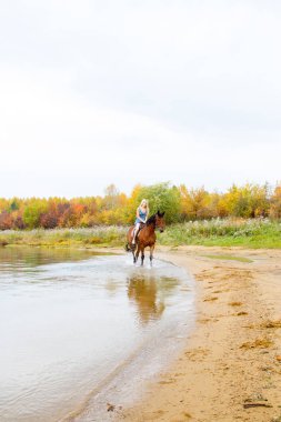Binici havuz kenarı boyunca sırtında atlar.