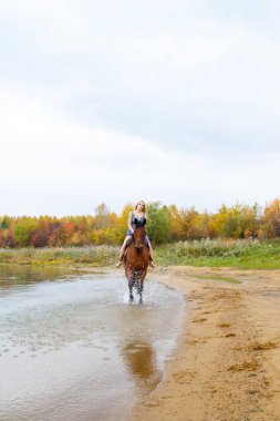 Binici havuz kenarı boyunca sırtında atlar.