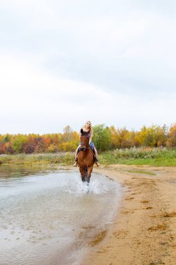 Binici havuz kenarı boyunca sırtında atlar.