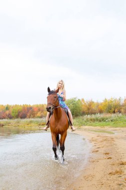 Binici havuz kenarı boyunca sırtında atlar.