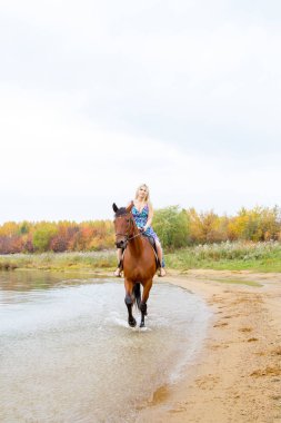 Binici havuz kenarı boyunca sırtında atlar.