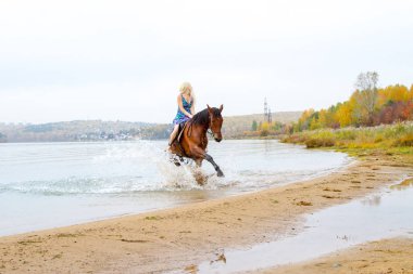 Genç sarışın bir binicilik Körfezi kıyı atlar