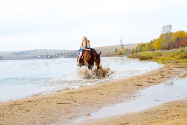 Genç sarışın bir binicilik Körfezi kıyı atlar