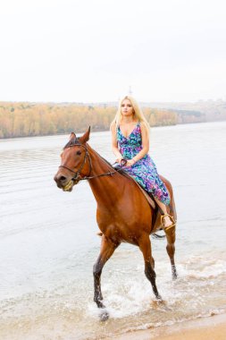 Genç sarışın bir binicilik Körfezi kıyı atlar