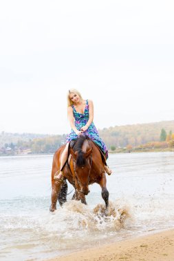 Genç sarışın bir binicilik Körfezi kıyı atlar