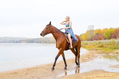 Genç sarışın bir binicilik Körfezi kıyı atlar