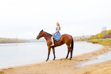 Genç sarışın bir binicilik Körfezi kıyı atlar