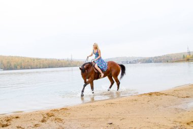 Genç sarışın bir binicilik Körfezi kıyı atlar