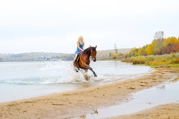 Genç sarışın bir binicilik Körfezi kıyı atlar