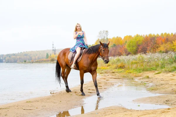 Genç sarışın bir binicilik Körfezi kıyı atlar