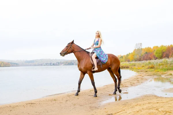 Genç sarışın bir binicilik Körfezi kıyı atlar