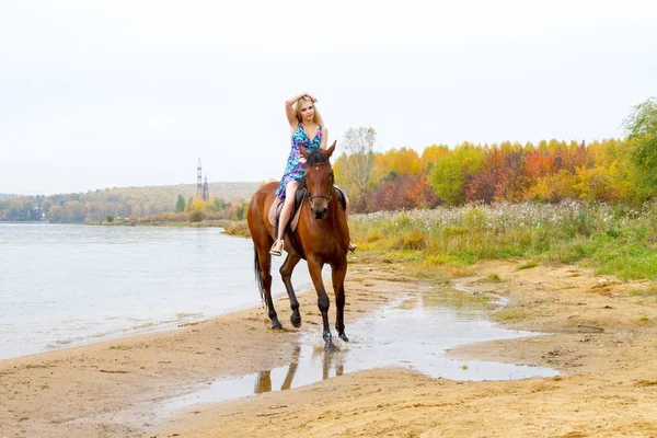 Genç sarışın bir binicilik Körfezi kıyı atlar