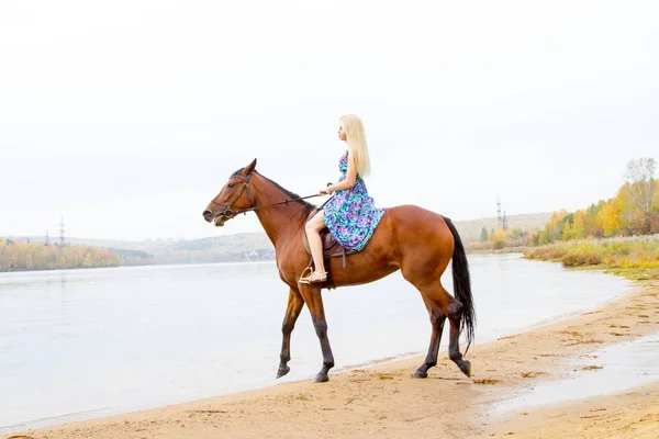 Junge Blondine reitet Pferd springt am Ufer der Bucht entlang — Stockfoto