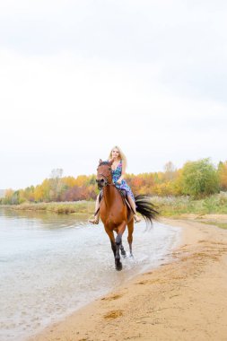 Genç sarışın bir binicilik Körfezi kıyı atlar