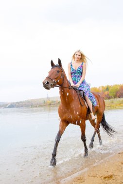 Genç sarışın bir binicilik Körfezi kıyı atlar