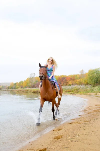 Young blonde riding a horse jumps along the shore of the bay — Stock Photo, Image