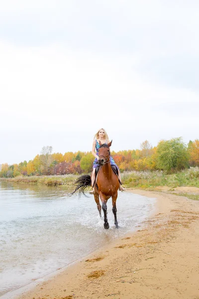 Genç sarışın bir binicilik Körfezi kıyı atlar