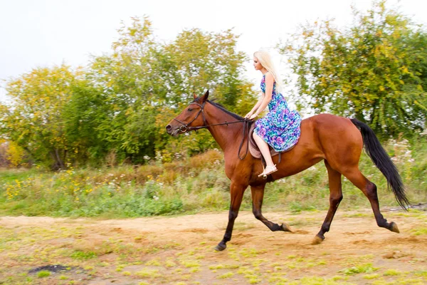 Genç sarışın bir binicilik Körfezi kıyı atlar