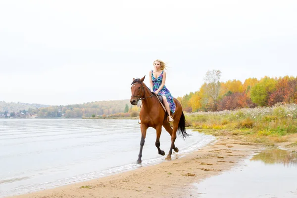 Genç sarışın bir binicilik Körfezi kıyı atlar