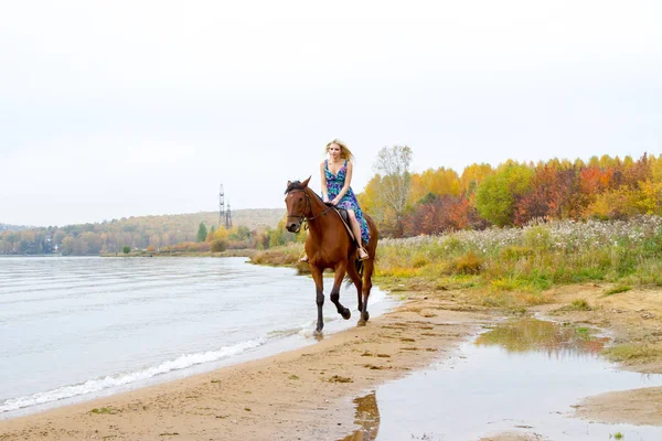 Ung blondin rider en häst hoppar längs bukten — Stockfoto