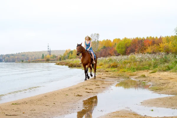 Genç sarışın bir binicilik Körfezi kıyı atlar