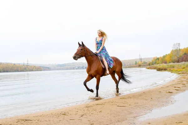 Junge Blondine reitet Pferd springt am Ufer der Bucht entlang — Stockfoto