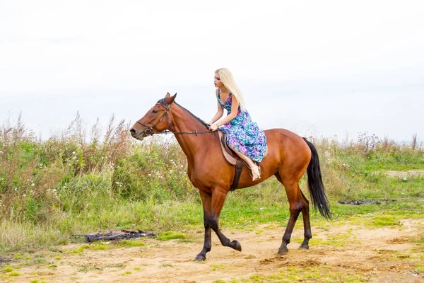 Молодая блондинка скачет на лошади по берегу залива — стоковое фото