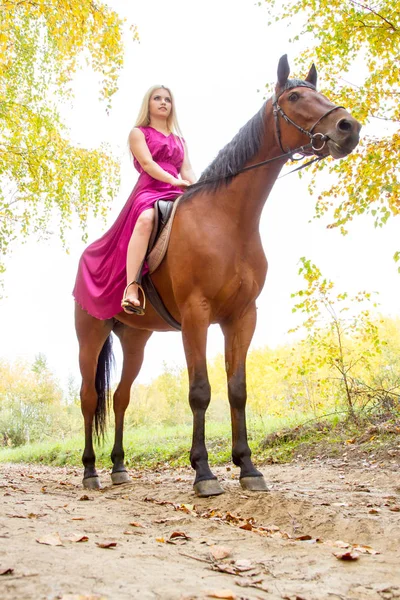Sonbahar bir ormanda yürüyüş bir at ile kız — Stok fotoğraf