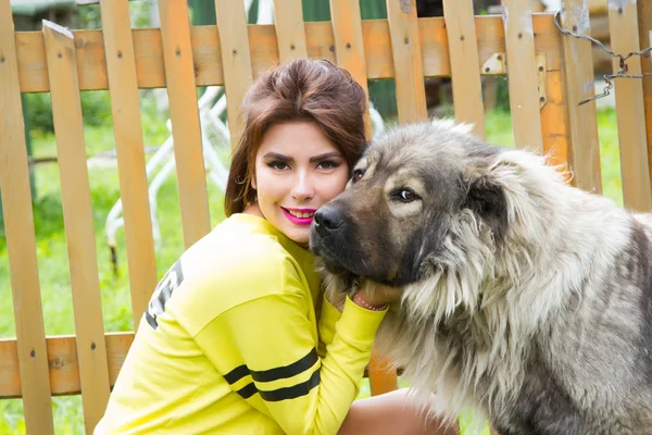 Flicka med en stor lurvig hund — Stockfoto