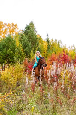 bir at binme sarışın sonbahar ormanda yürür