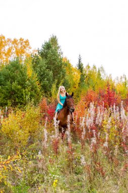 bir at binme sarışın sonbahar ormanda yürür