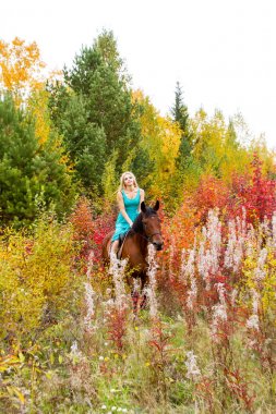 bir at binme sarışın sonbahar ormanda yürür