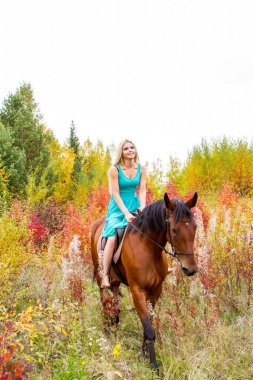 bir at binme sarışın sonbahar ormanda yürür