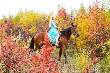 bir at binme sarışın sonbahar ormanda yürür