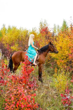 bir at binme sarışın sonbahar ormanda yürür