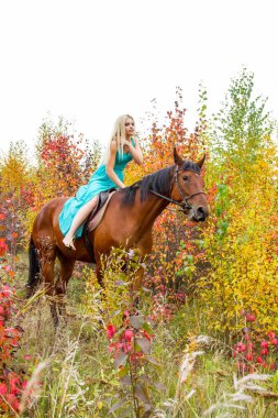 bir at binme sarışın sonbahar ormanda yürür