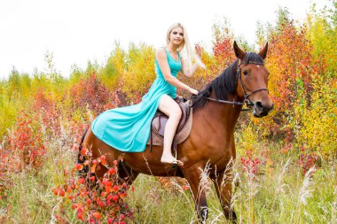 bir at binme sarışın sonbahar ormanda yürür