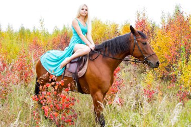 bir at binme sarışın sonbahar ormanda yürür