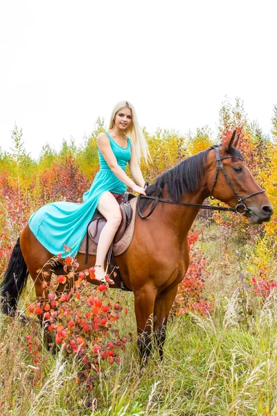 bir at binme sarışın sonbahar ormanda yürür