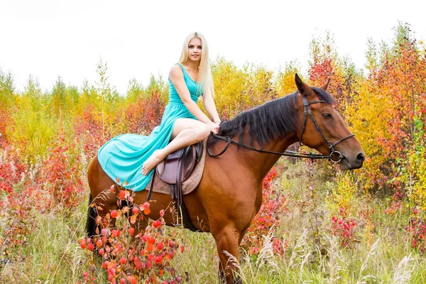 Блондинка верхи на коні прогулянки по осінньому лісу — стокове фото