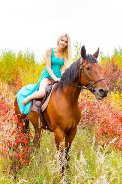 bir at binme sarışın sonbahar ormanda yürür