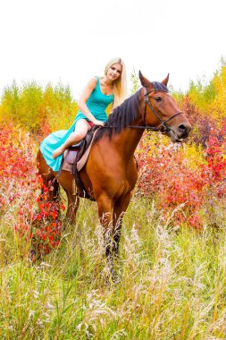 bir at binme sarışın sonbahar ormanda yürür